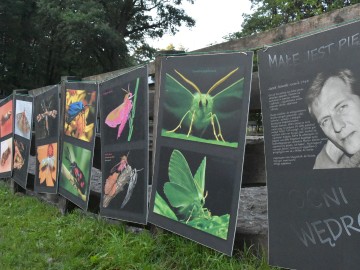 Świecenia nocne w Lesie Łagiewnickim 28.07.2023r., 